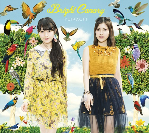 Bright Canary (limitée Bluray)