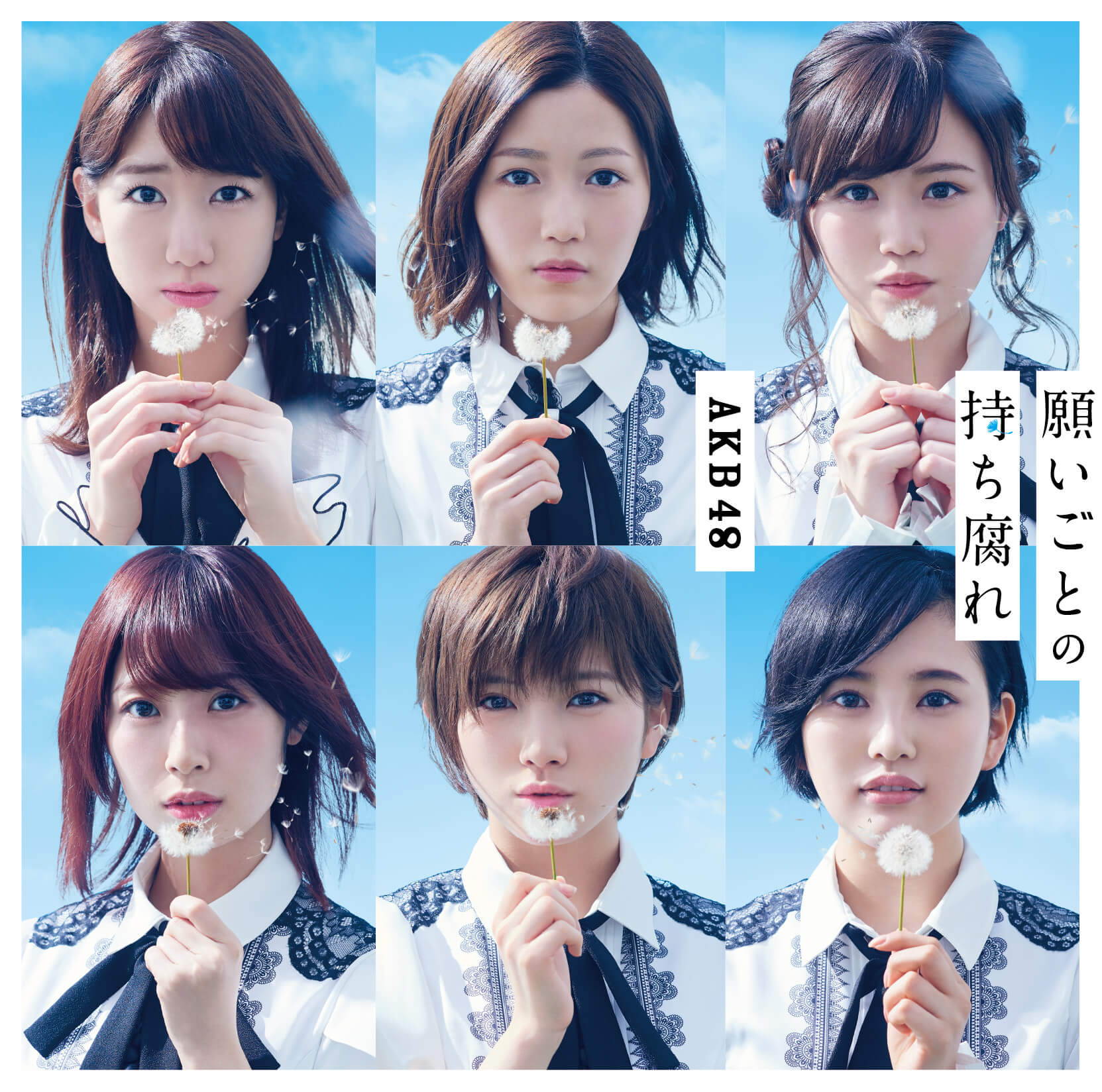 Negaigoto no mochigusare (Type C - limitée)