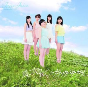 Black Butterfly / Kaze ni Fukarete (Limited Type D)